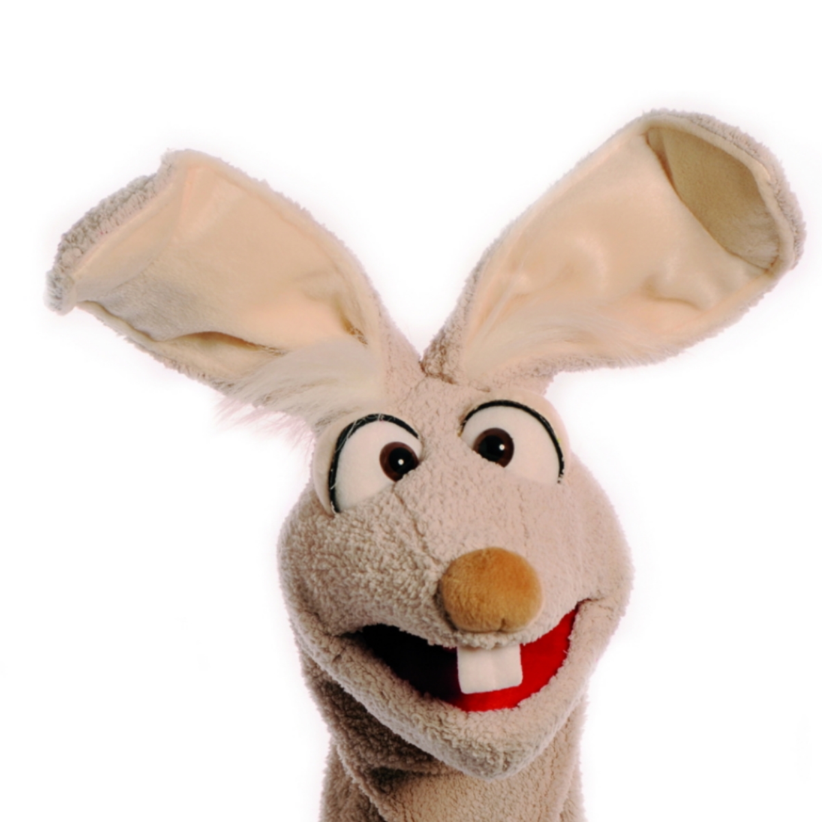 Mampfred Hase