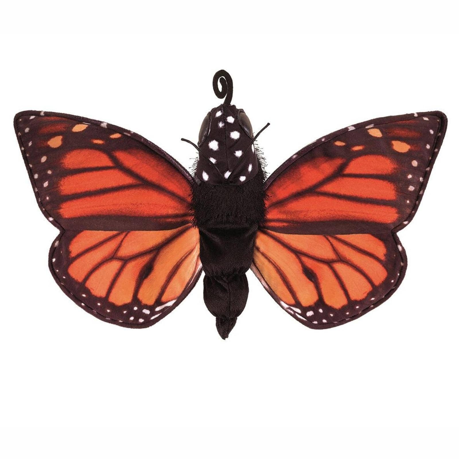 Folkmanis Metamorphose Schnetterling