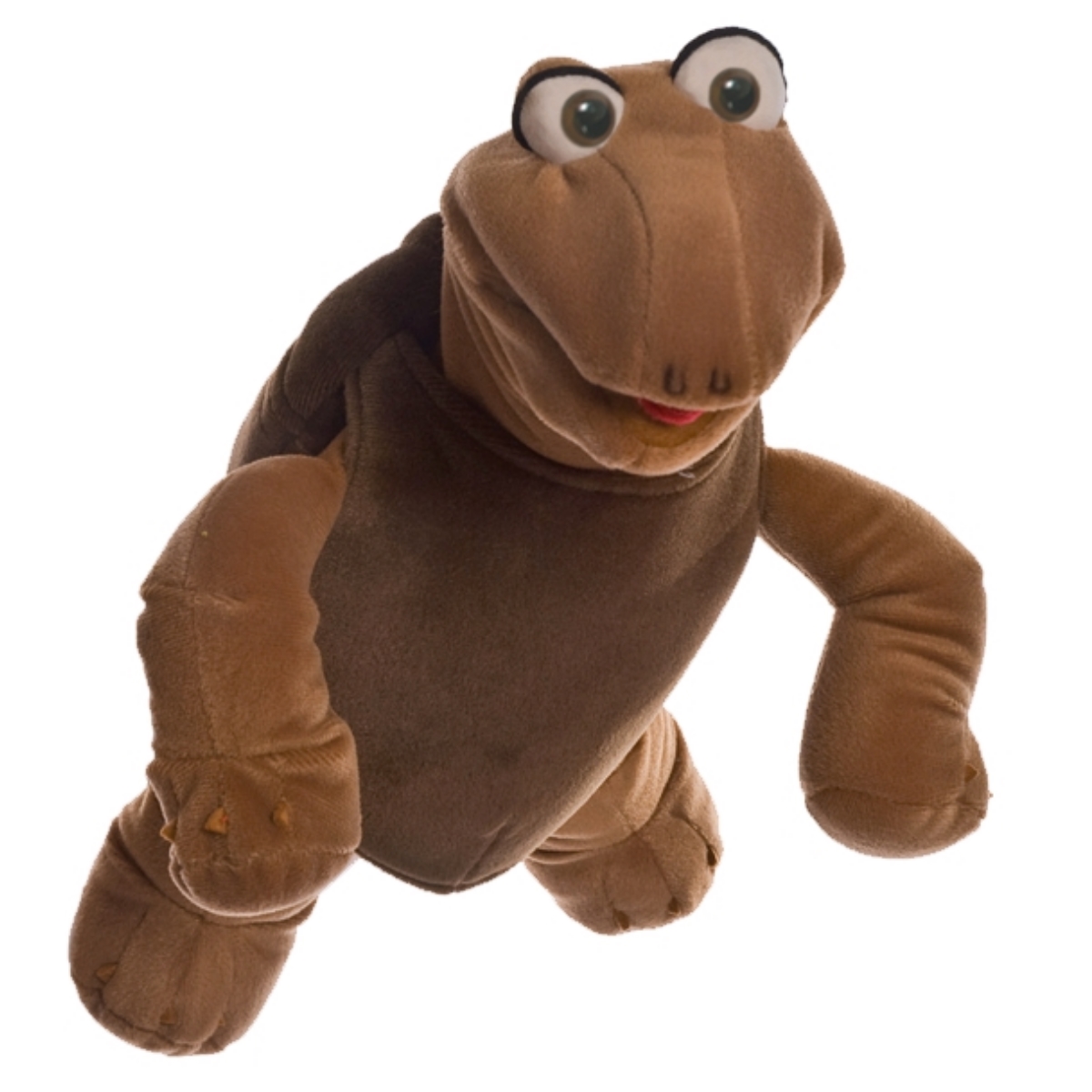 kl. Sammy Schildkröte