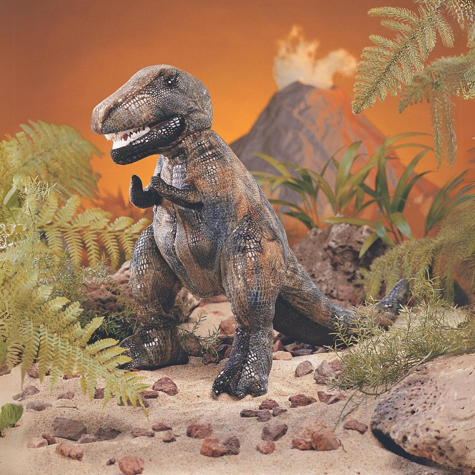Folkmanis Dinosaurier, Tyrannosaurus Rex