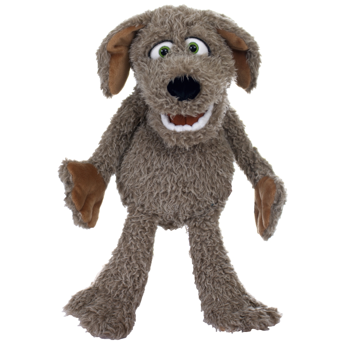 Locke der kleine Hund