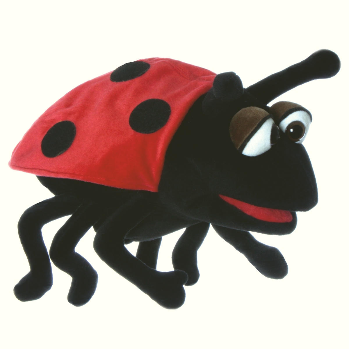 Marienkäfer Hubi