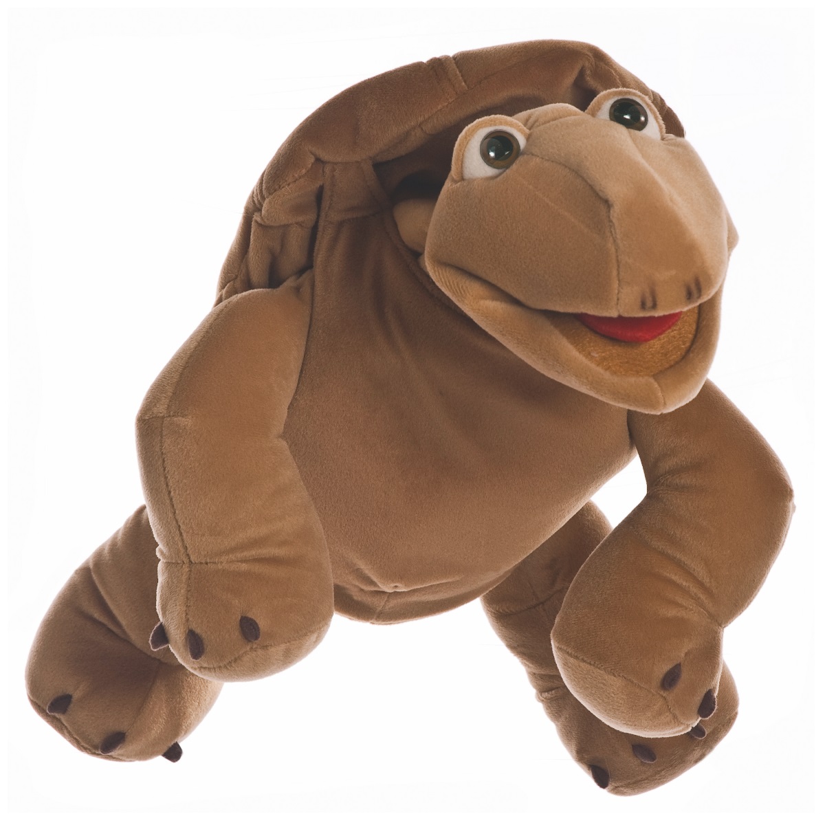Sammy die Schildkröte