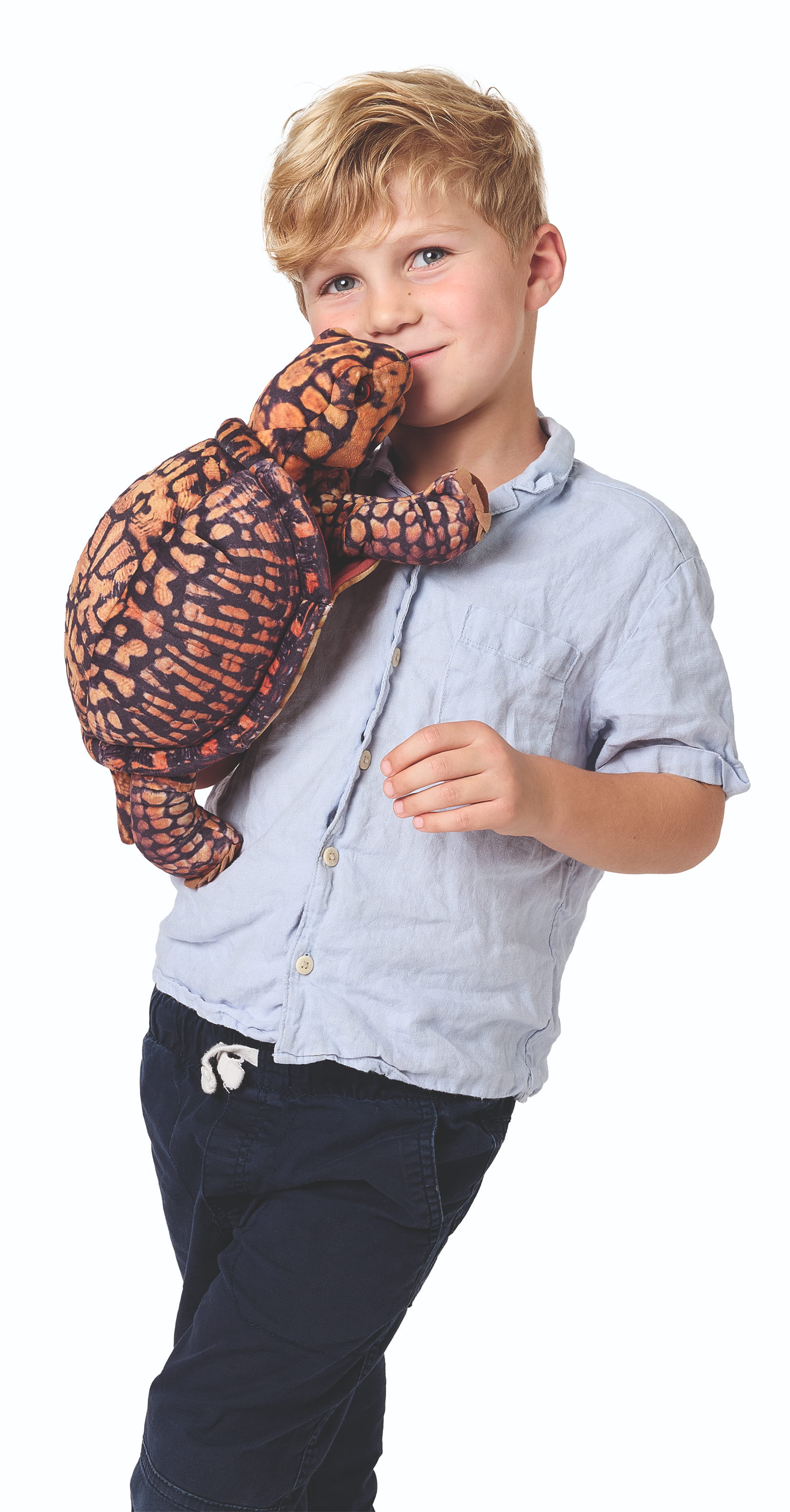 Folkmanis Dosenschildkröte