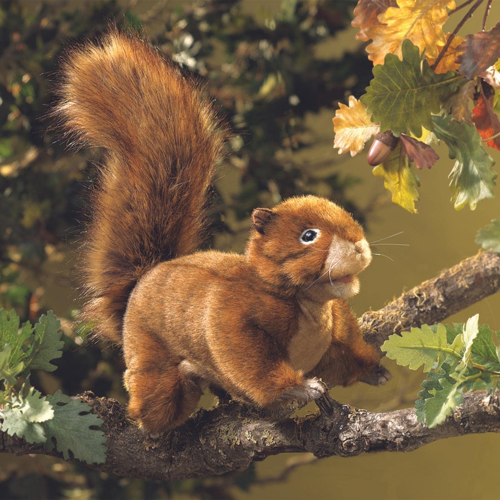 Folkmanis Eichhörnchen